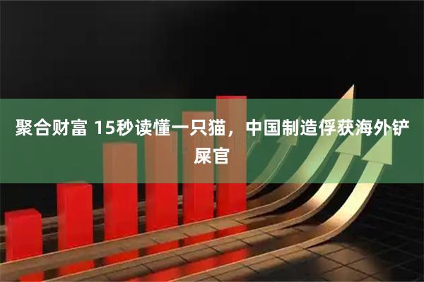 聚合财富 15秒读懂一只猫，中国制造俘获海外铲屎官